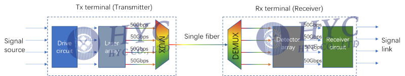 WDM(wavelength division multiplexing) technology
